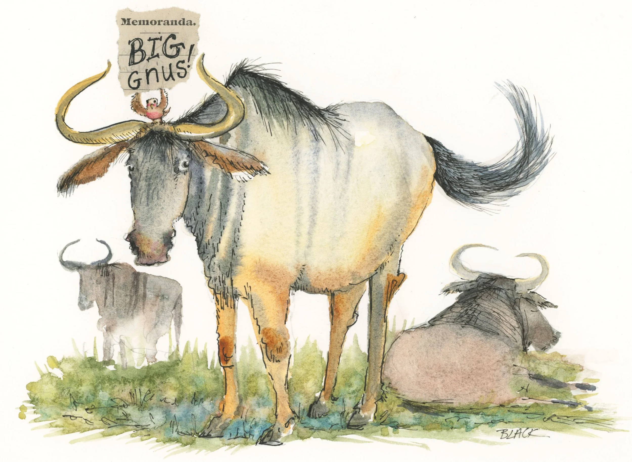 What's Gnu? — Jennifer Black Reinhardt